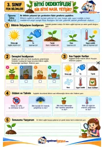 3. Sınıf Fen Bilimleri Bitki Dedektifleri