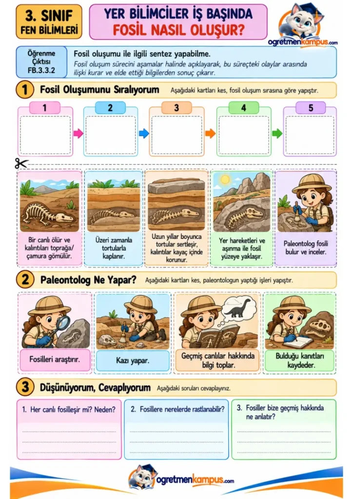 3. Sınıf Fen Bilimleri Fosil Nasıl Oluşur