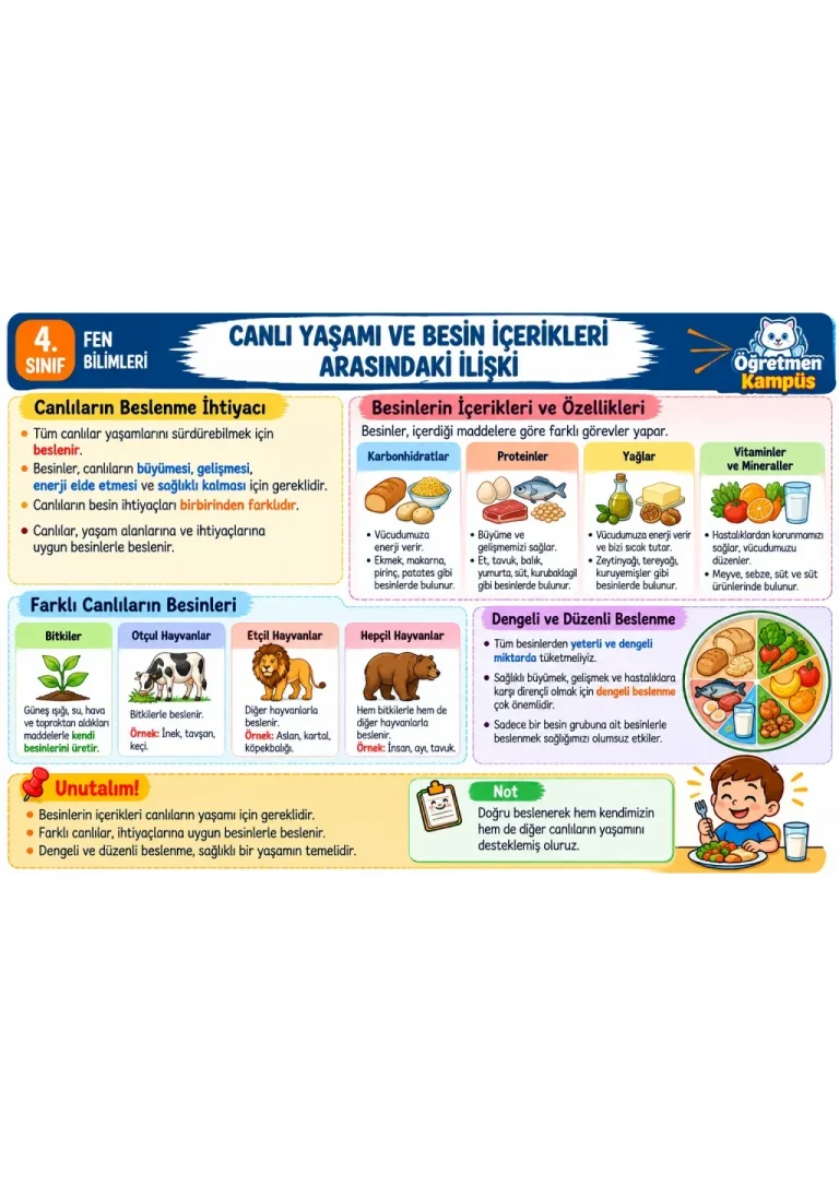 Canlı Yaşamı ve Besin İçerikleri Defter Notu